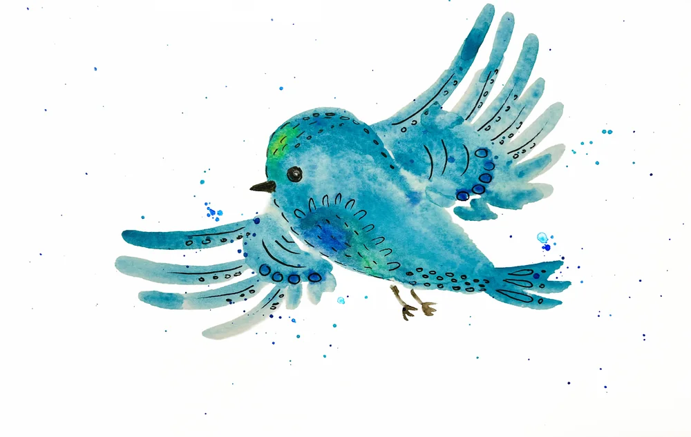 Teal bird by Florbela Nienaber