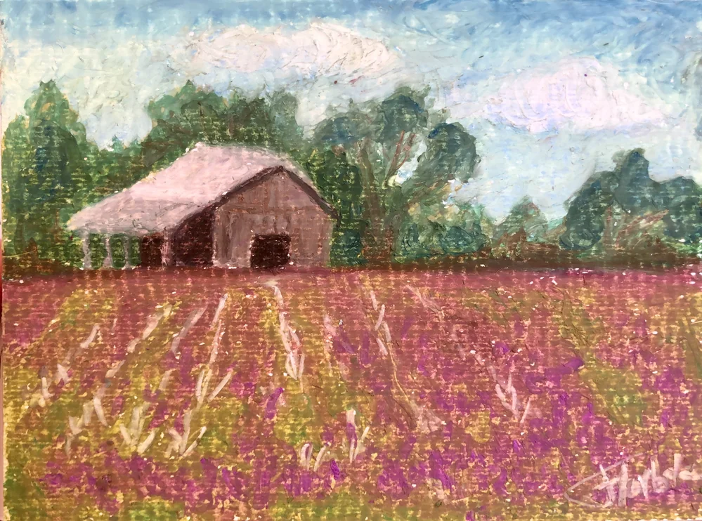 Barn in field by Florbela Nienaber