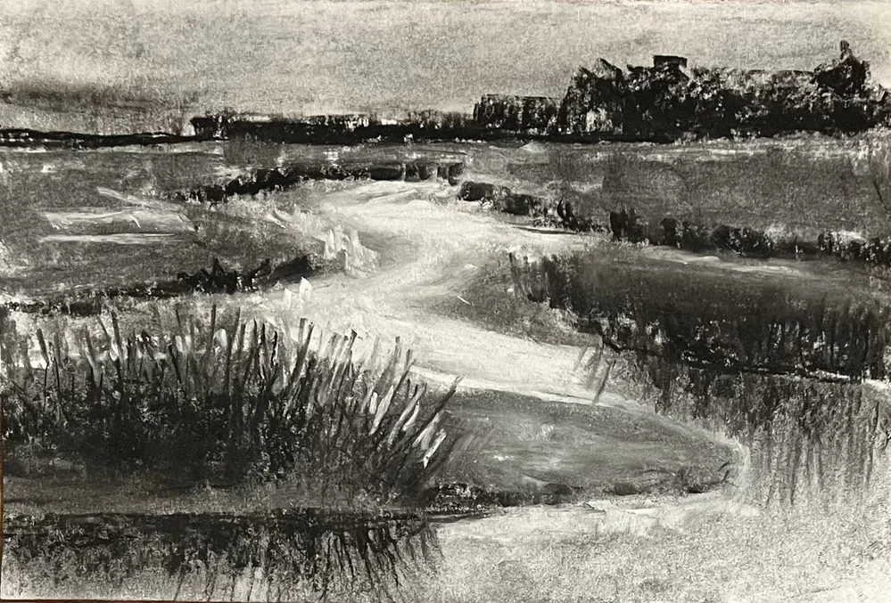 Marsh charcoal by Florbela Nienaber